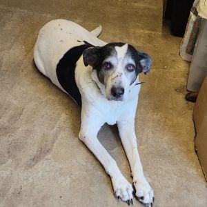 MayBelle, Senior Female unknown