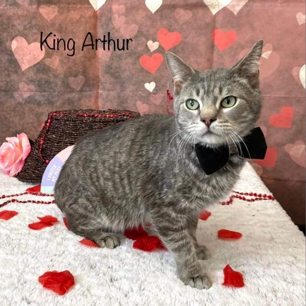 King Arthur