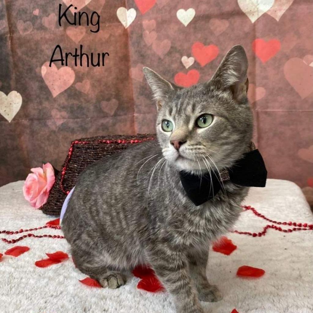 King Arthur