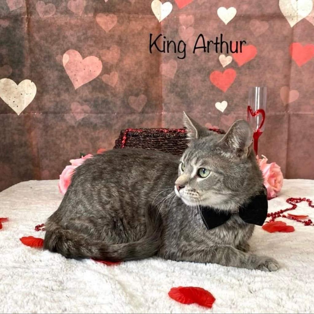 King Arthur