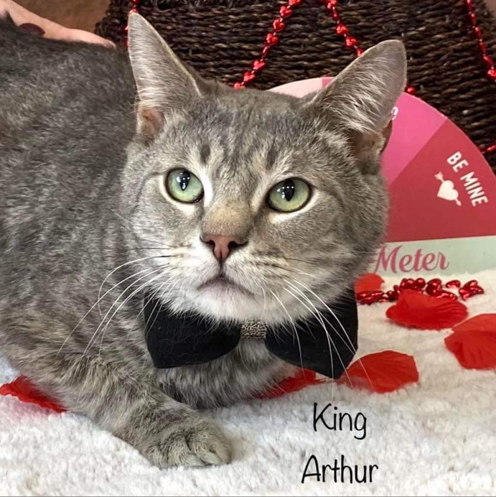 King Arthur