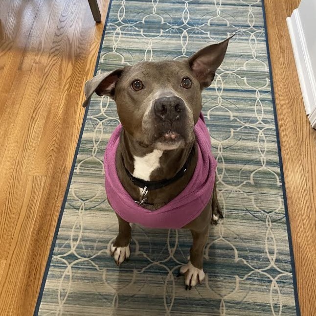 Lady