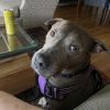 Lady photo 4