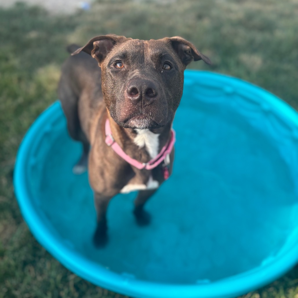 Mimi