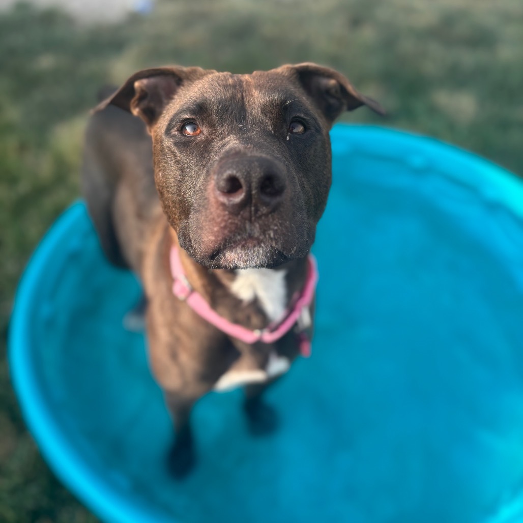Mimi