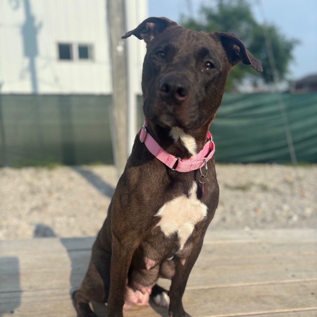 Mimi