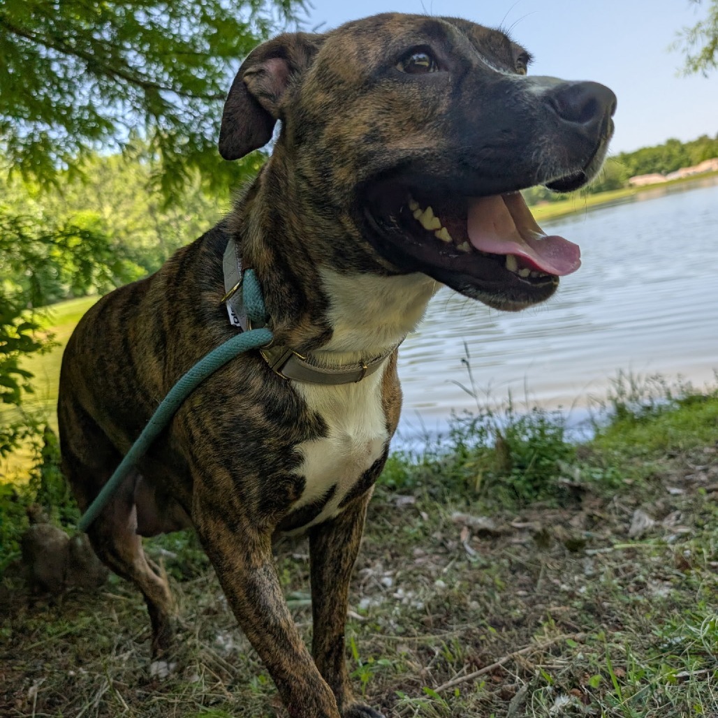 Izzie 27504