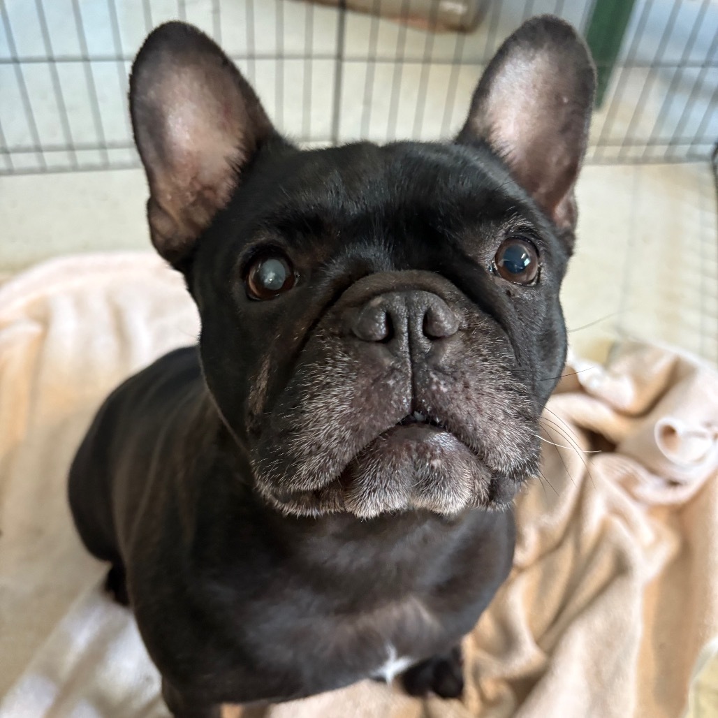 Chloe