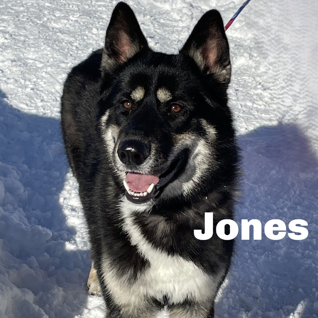 Jones 240907