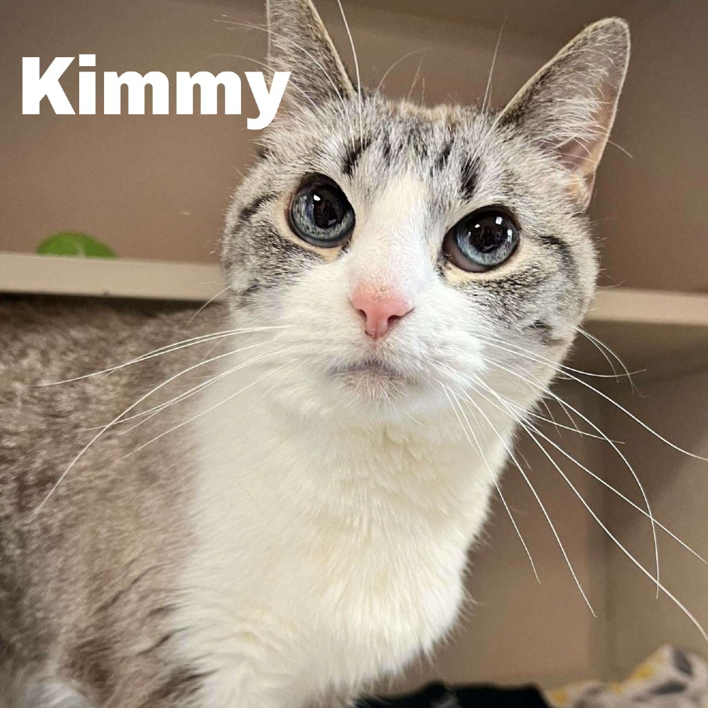 Kimmy 250426