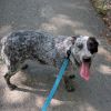 Sam photo 5
