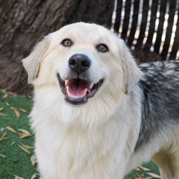DAKOTA 1