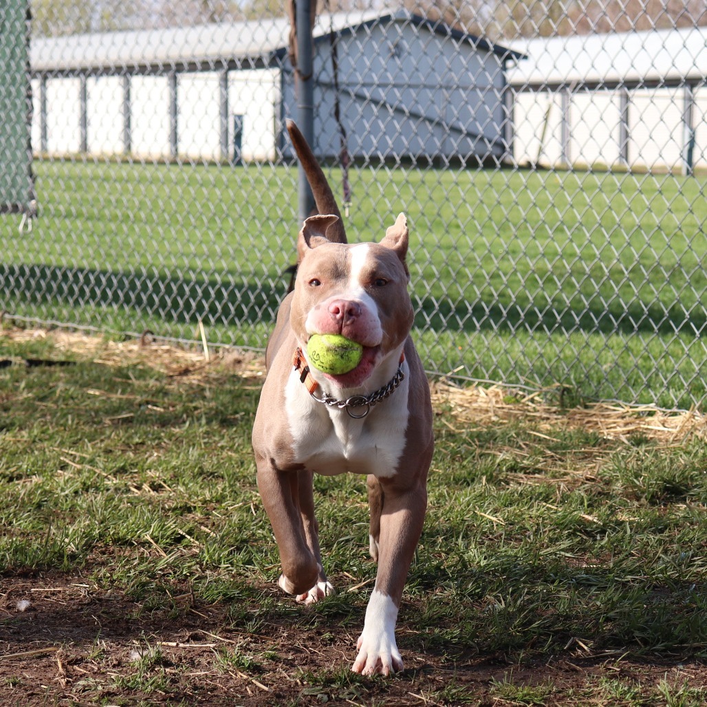 Mia