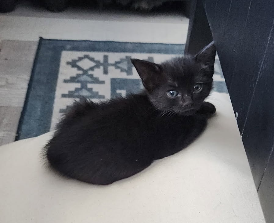 Xena