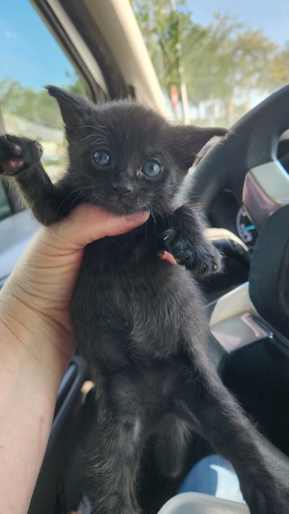 Xena