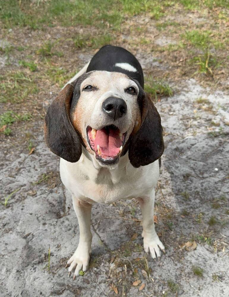 Edna Photo