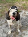 Edna