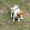 Maggie photo 2