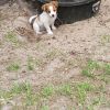 Maggie photo 3