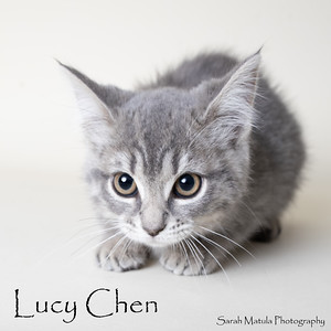 Lucy Chen thumbnail 1
