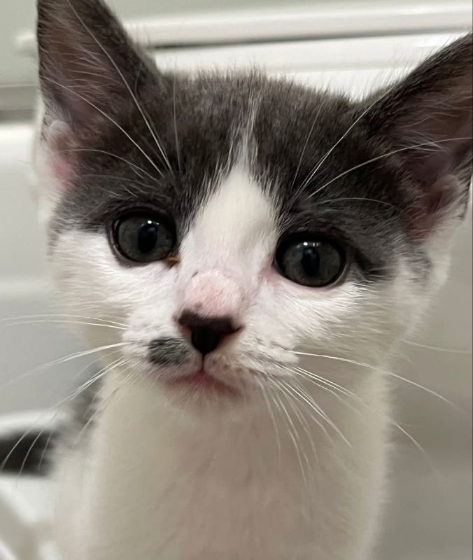 Minnie