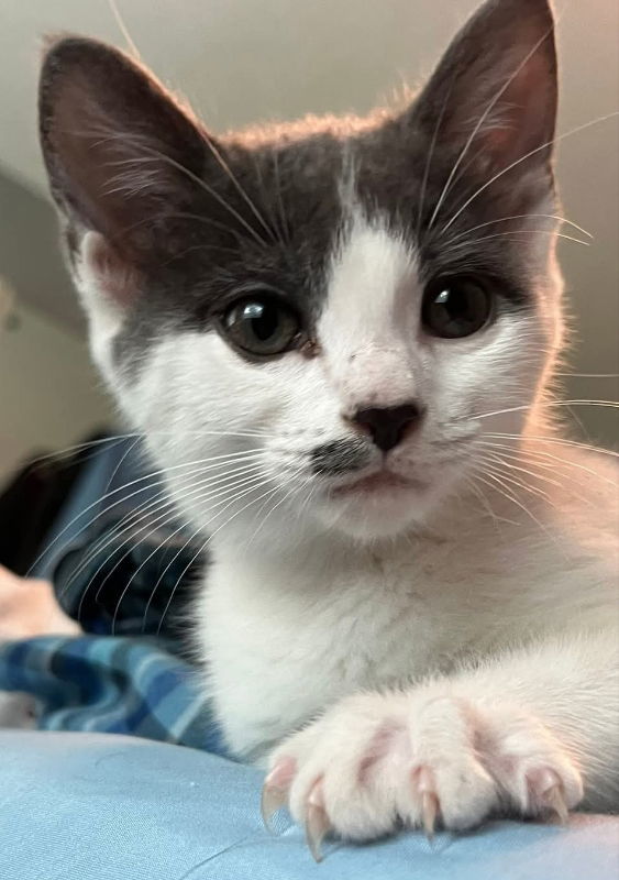 Minnie