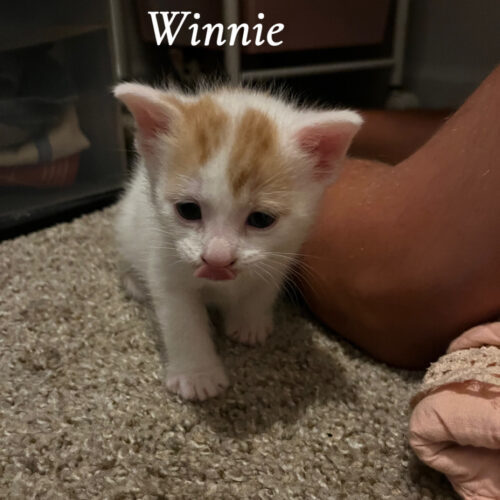 Winnie