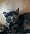 Nonie photo 2