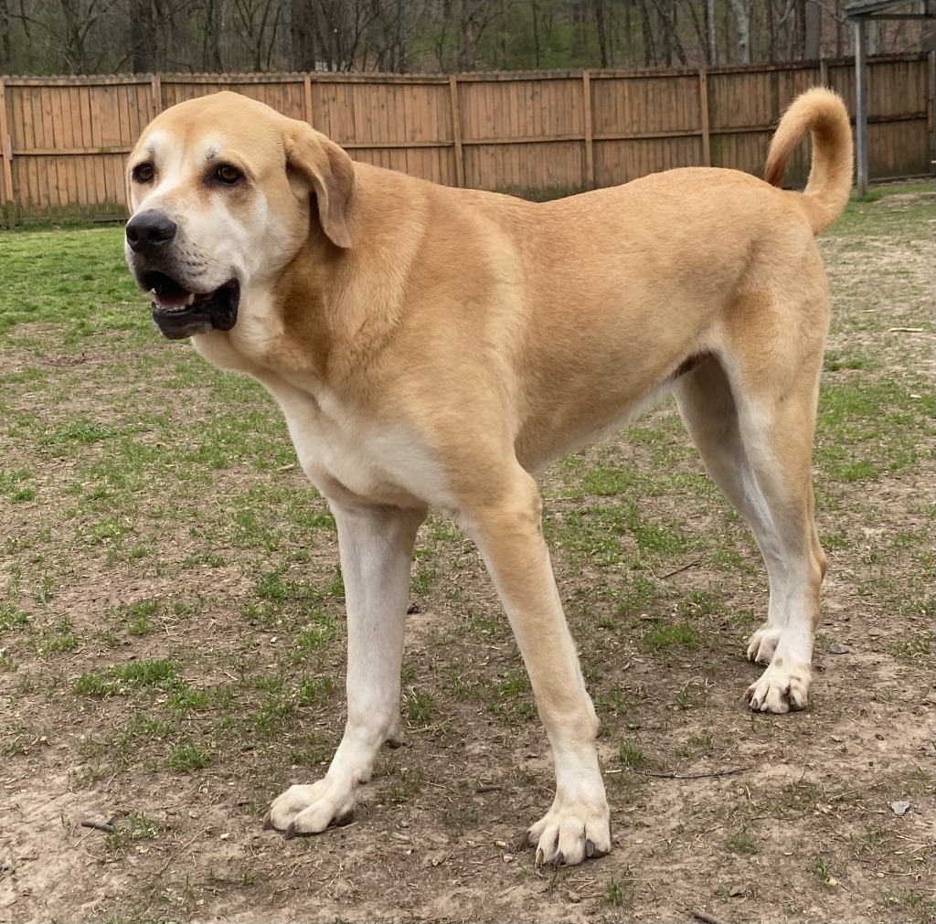 Fiona