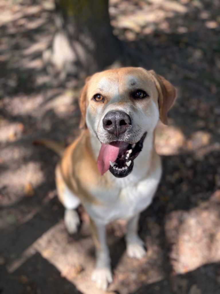 Fiona
