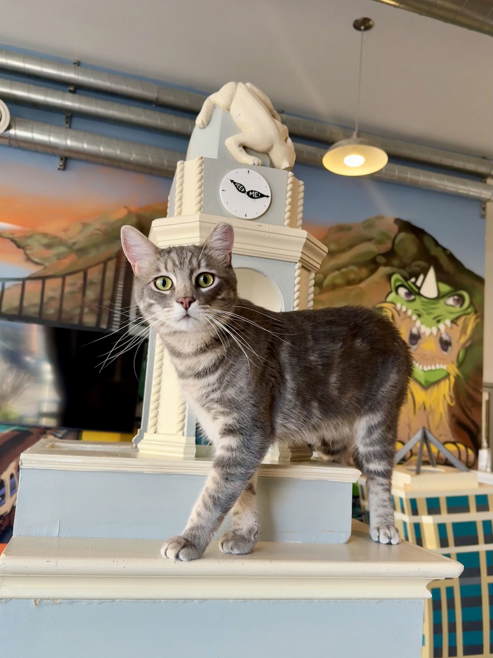 Tommy (bonded with Bennett)