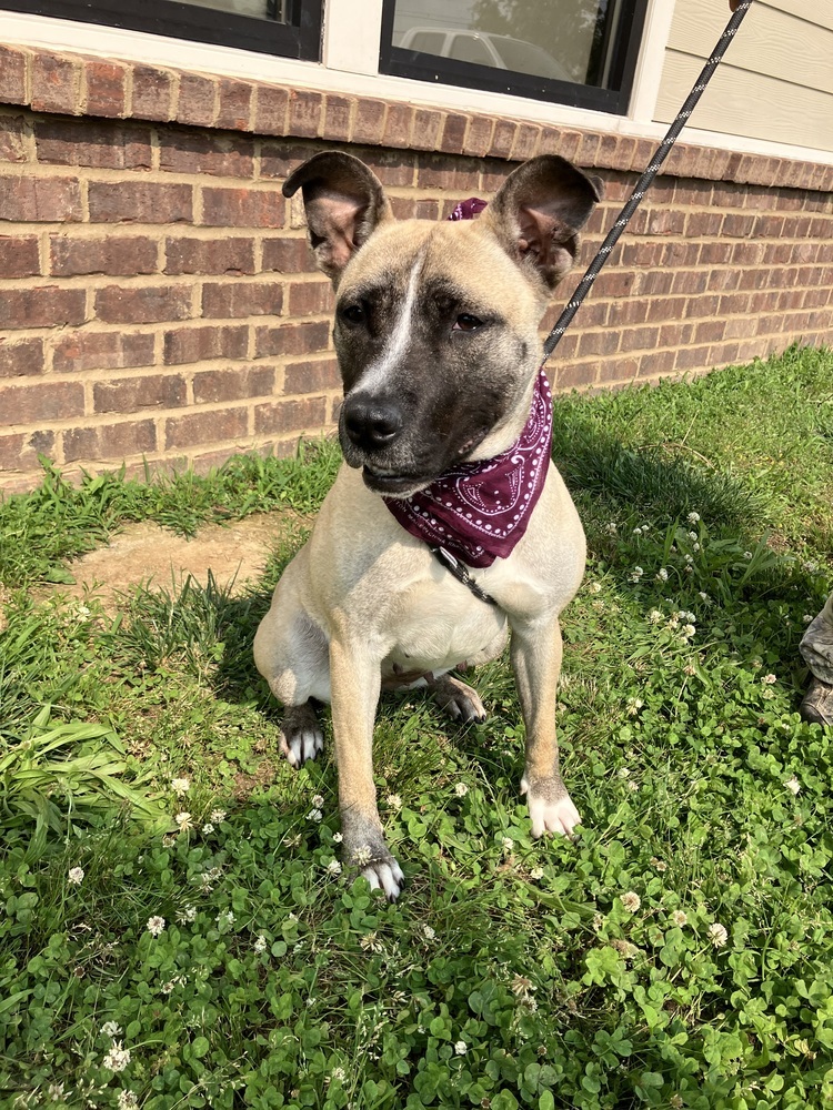 Kaia