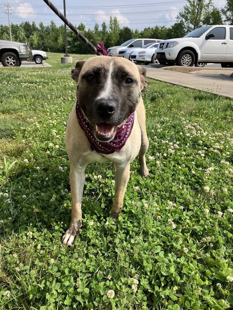 Kaia