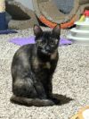 Bonnie photo 3