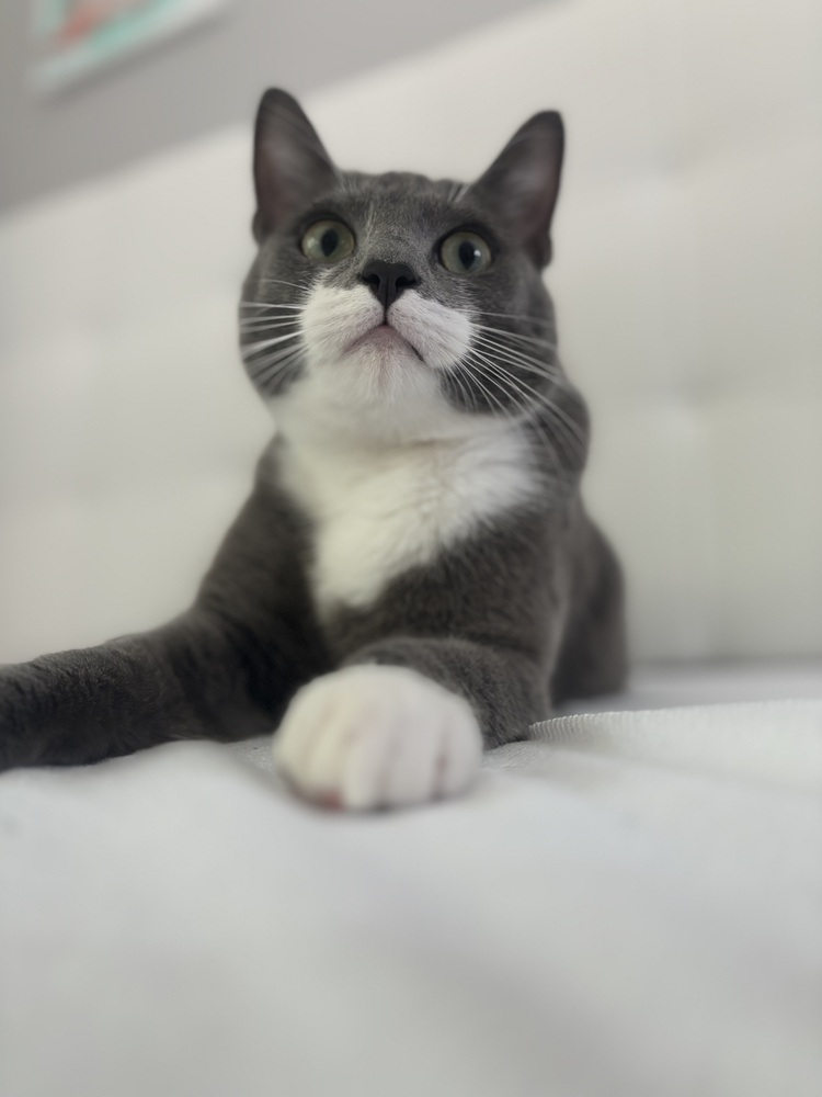 Nimbus