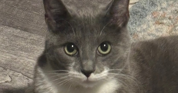 Nimbus