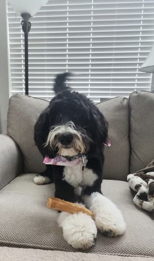Axel