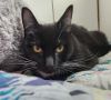 Clyde photo 2