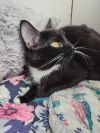 Clyde photo 3