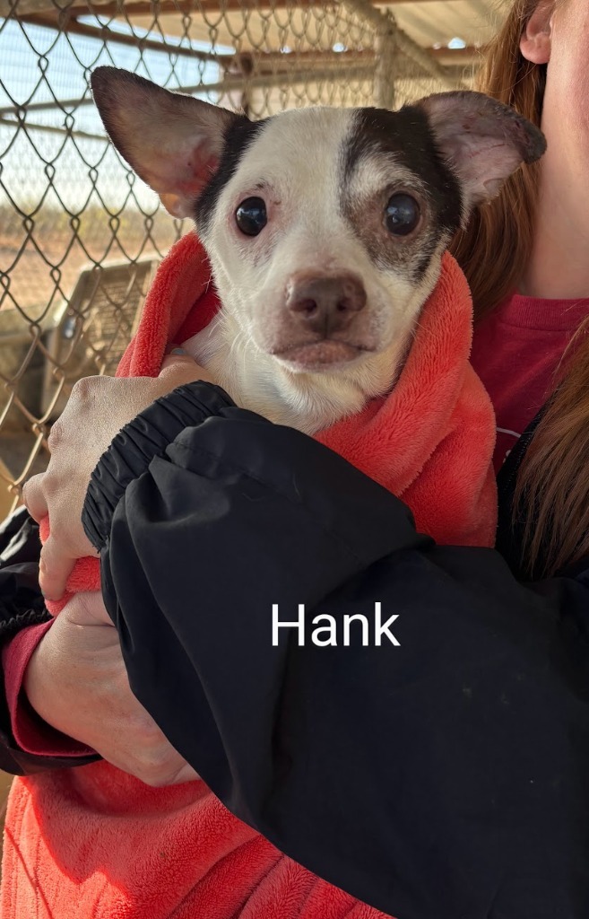 Hank