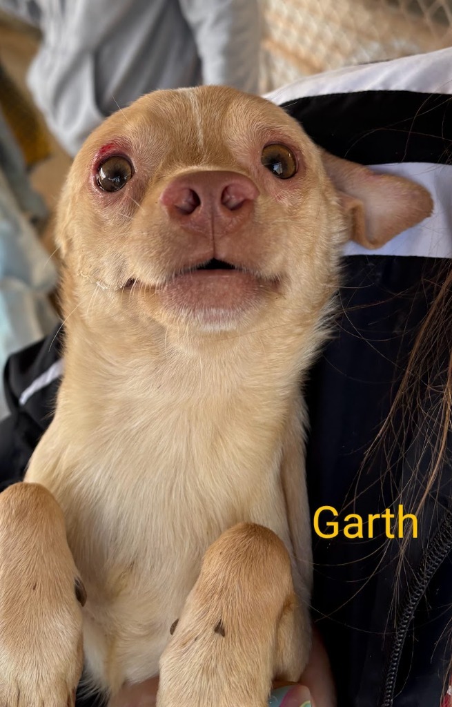 Garth