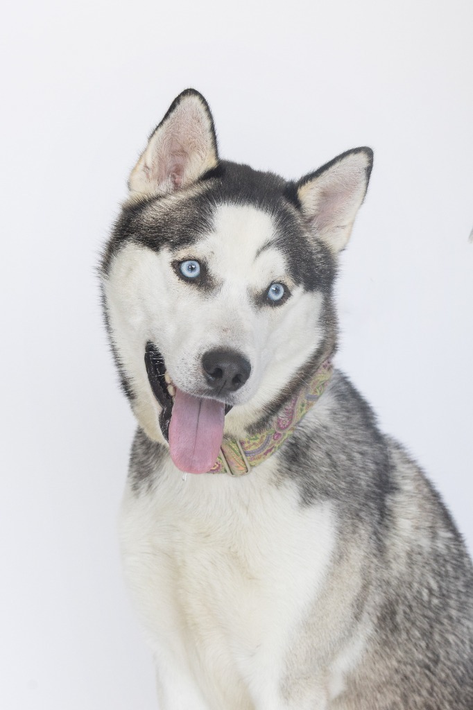 Yuki