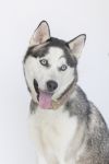 Yuki photo 1