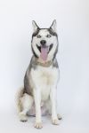 Yuki photo 3