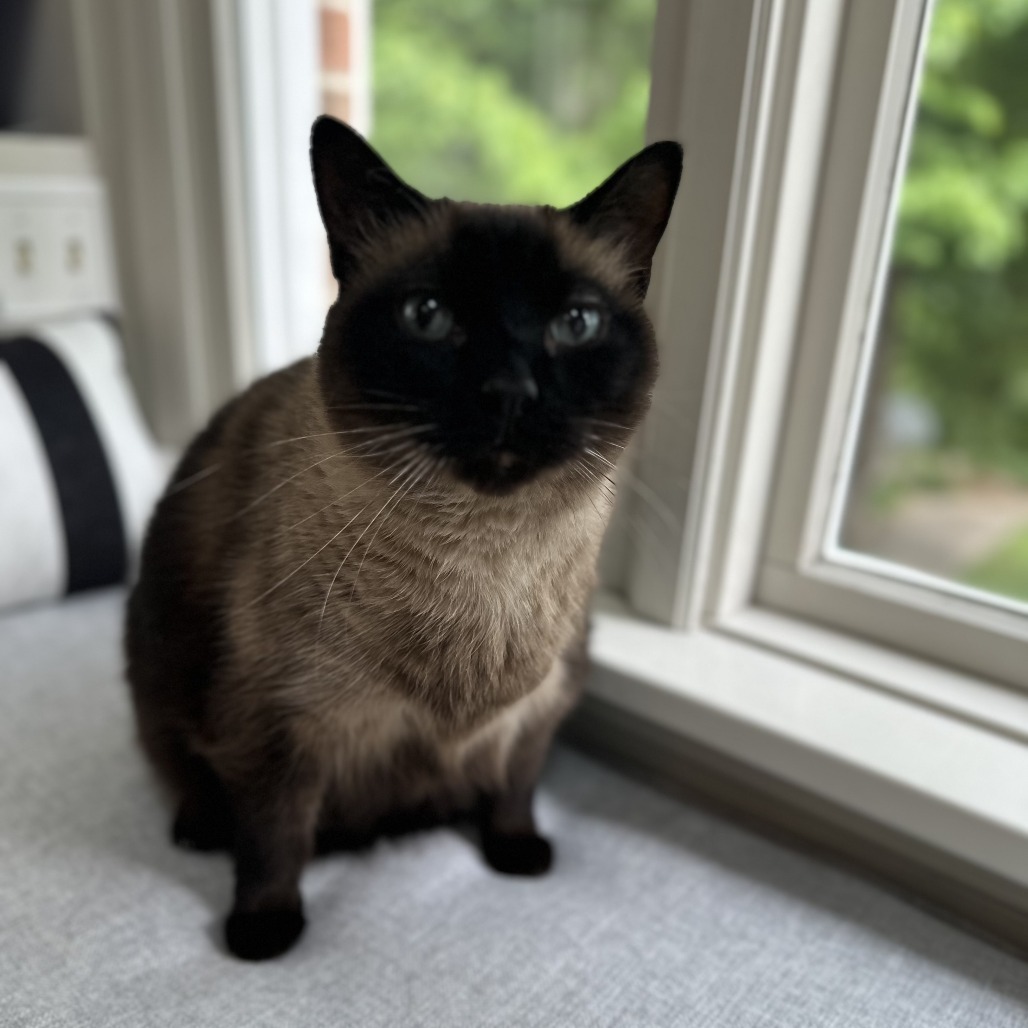 Caesar