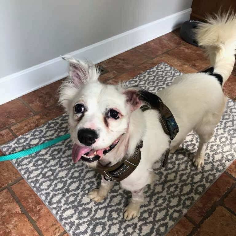 Harvey
