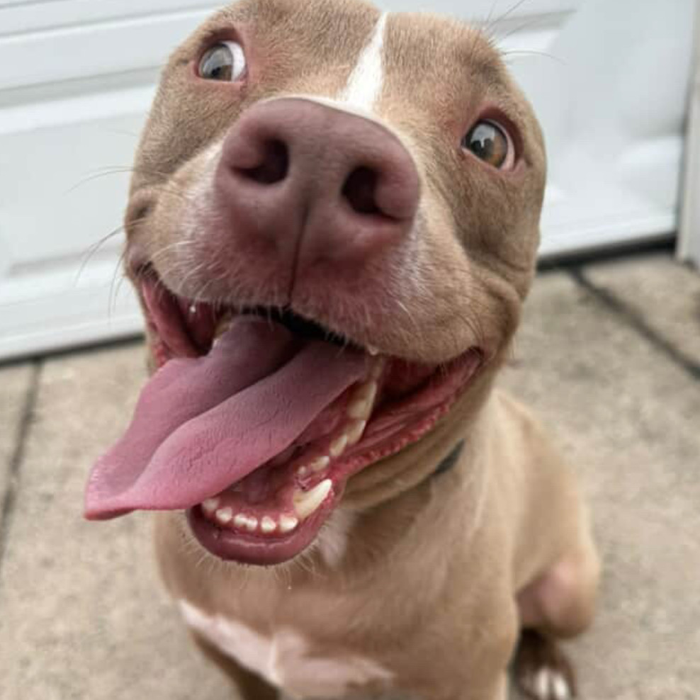 Benny
