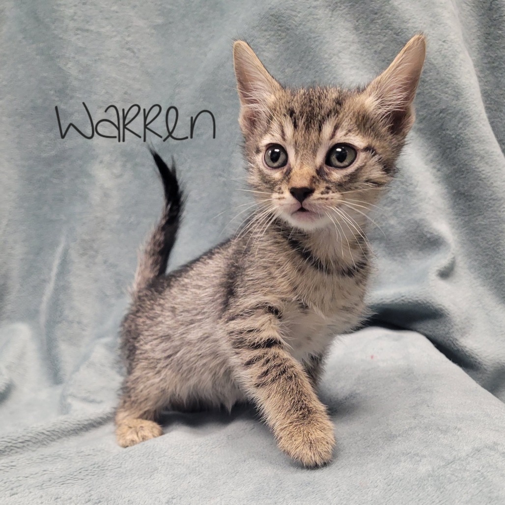 Warren