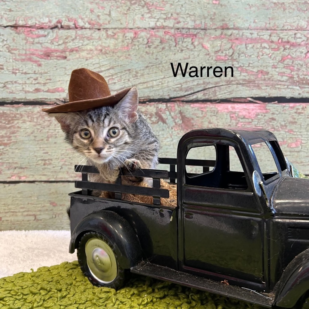 Warren
