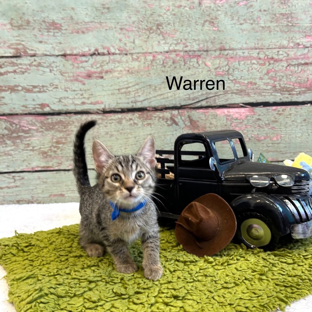 Warren